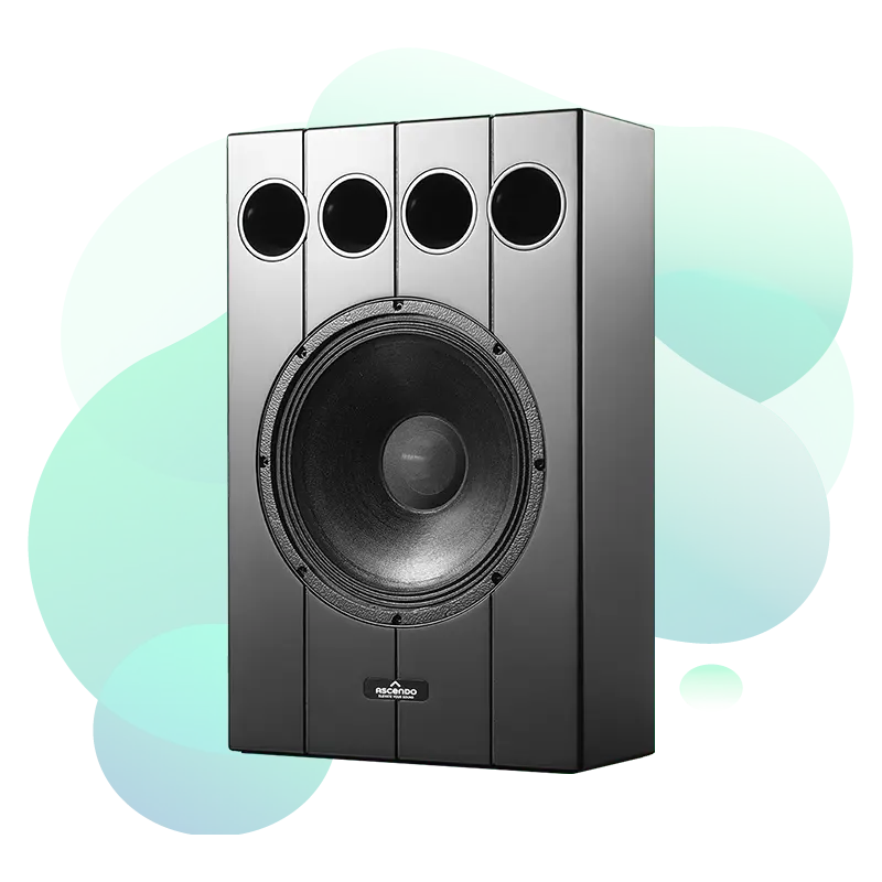 Ascendo THE12 Passive On Wall speaker front view
